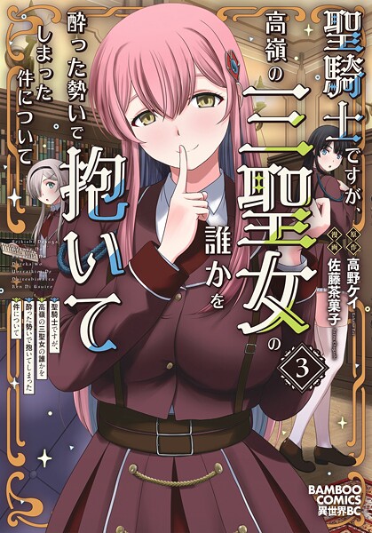 聖騎士ですが、高嶺の三聖女の誰かを酔った勢いで抱いてしまった件について （3）