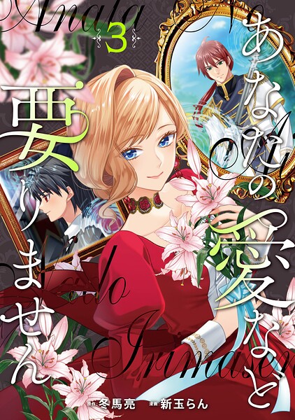 あなたの愛など要りません3【DMM限定特典付き】