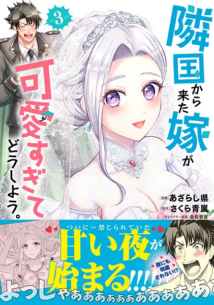 隣国から来た嫁が可愛すぎてどうしよう。（コミック）【電子版特典付】3
